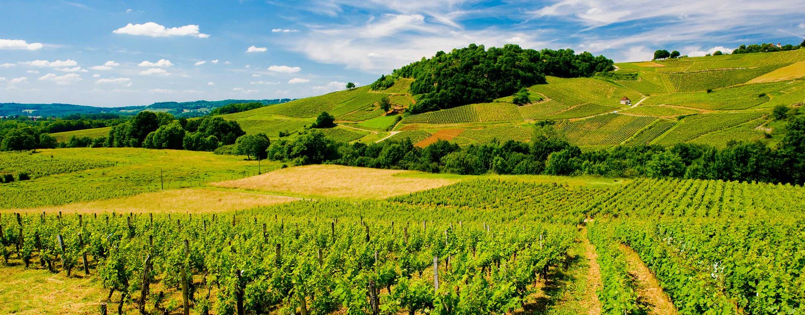 vue aérienne de Ménétru-le-Vignoble