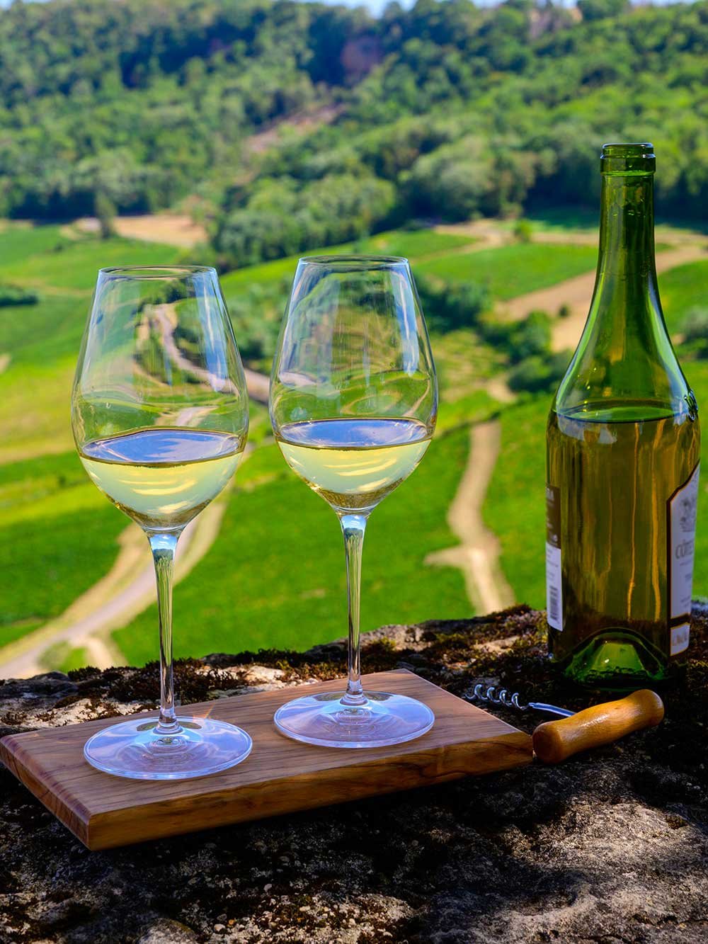 Vins du Jura Ménétru le Vignoble